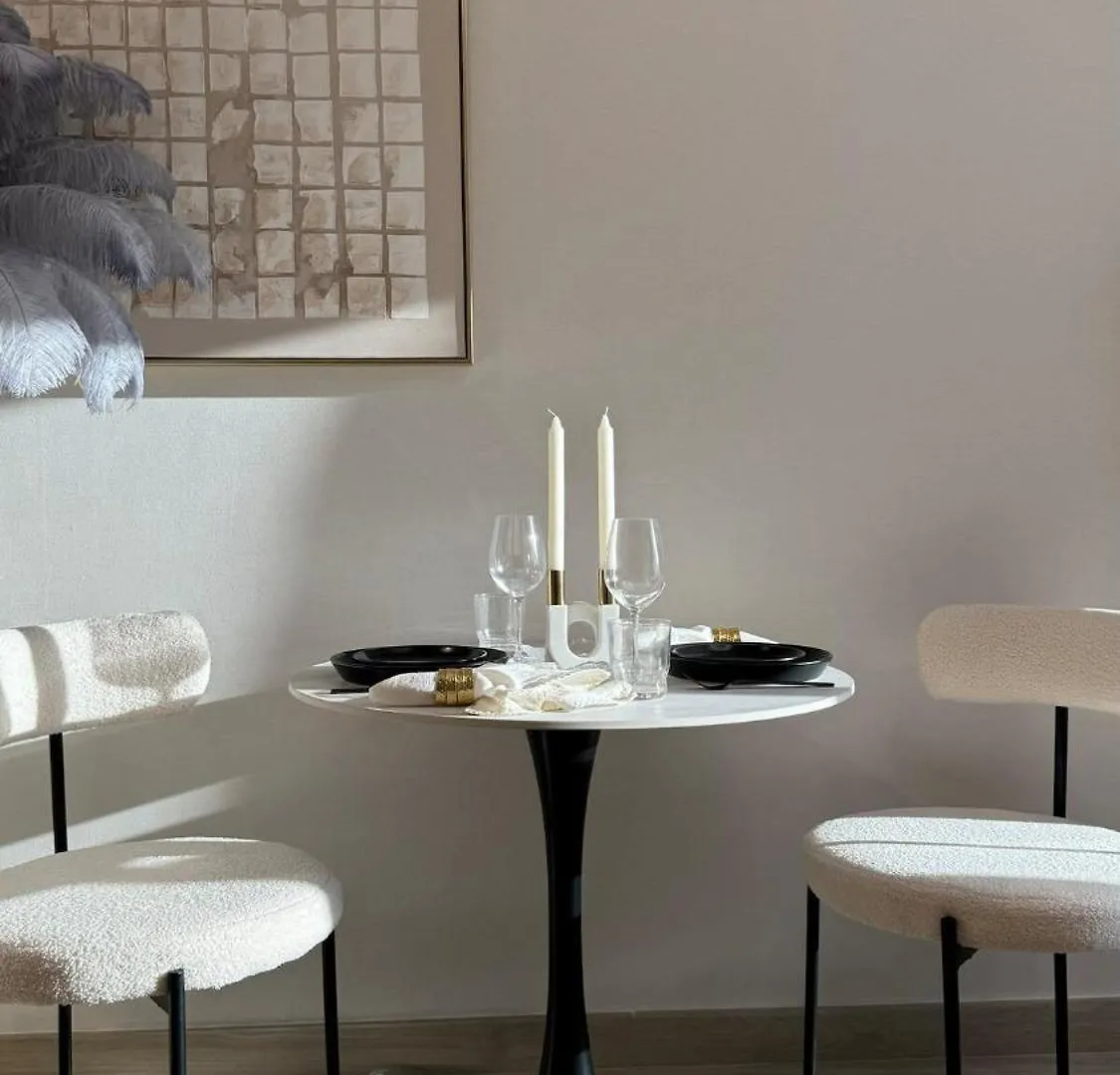 New And Stylish Apartment Dubai